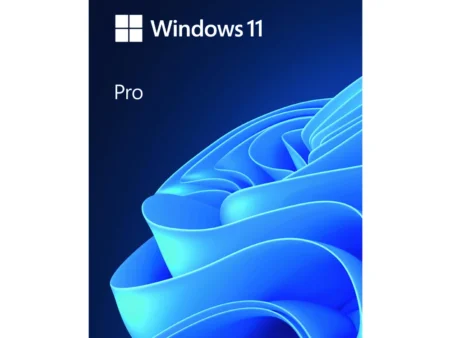 Phần mềm Microsoft Win 11 Pro FPP 64 bit Eng Intl USB (HAV-00163)